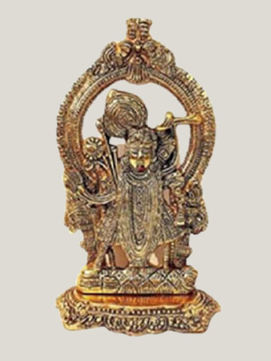 Lord Shri Nath Ji’s Idol